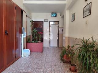 androne interno (1)