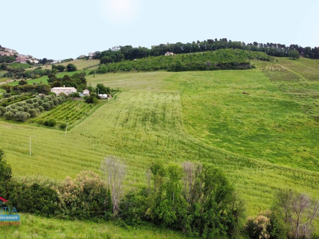 Terreno agricolo contrada casale, potenza picena