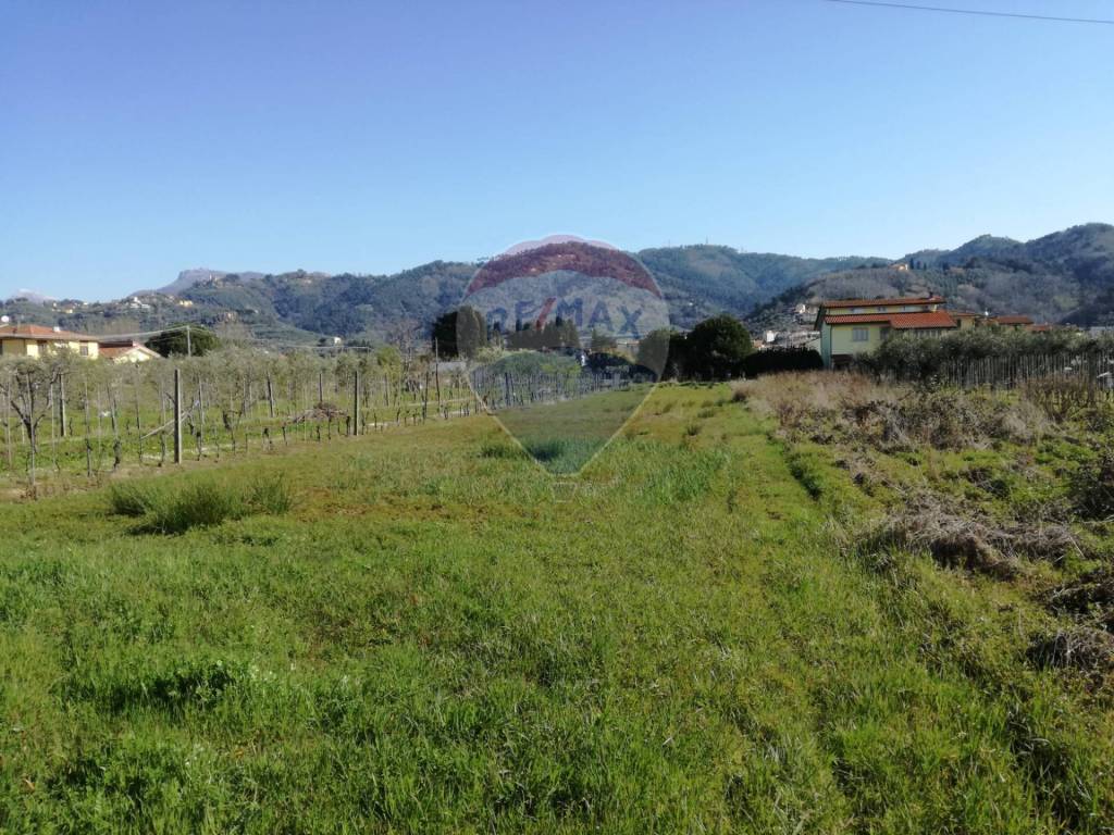 Terreno agricolo via del pantaneto, massarosa paese, massarosa