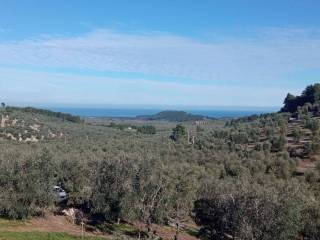 Foto - Vendita villa con giardino, Vieste, Gargano