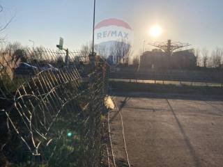 si vede l'albero della vita di Expo 2015