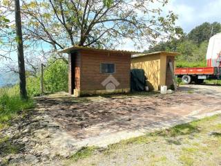 Immagine WhatsApp 2024-05-08 ore 19.42.08_3e6f73f5