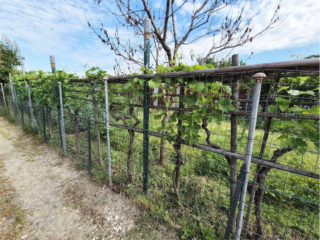 Terreno agricolo, galciana, prato