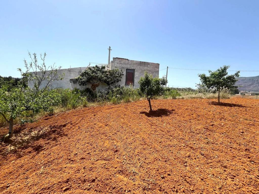 Terreno agricolo via delle pigne di don fabrizio, alcamo marina, alcamo