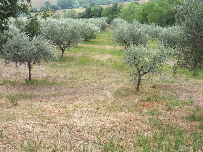 Agriturismo con laboratorio, offagna