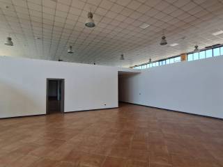 PARTICOLARI