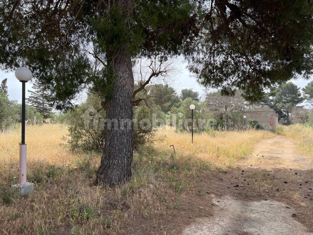 Terreno