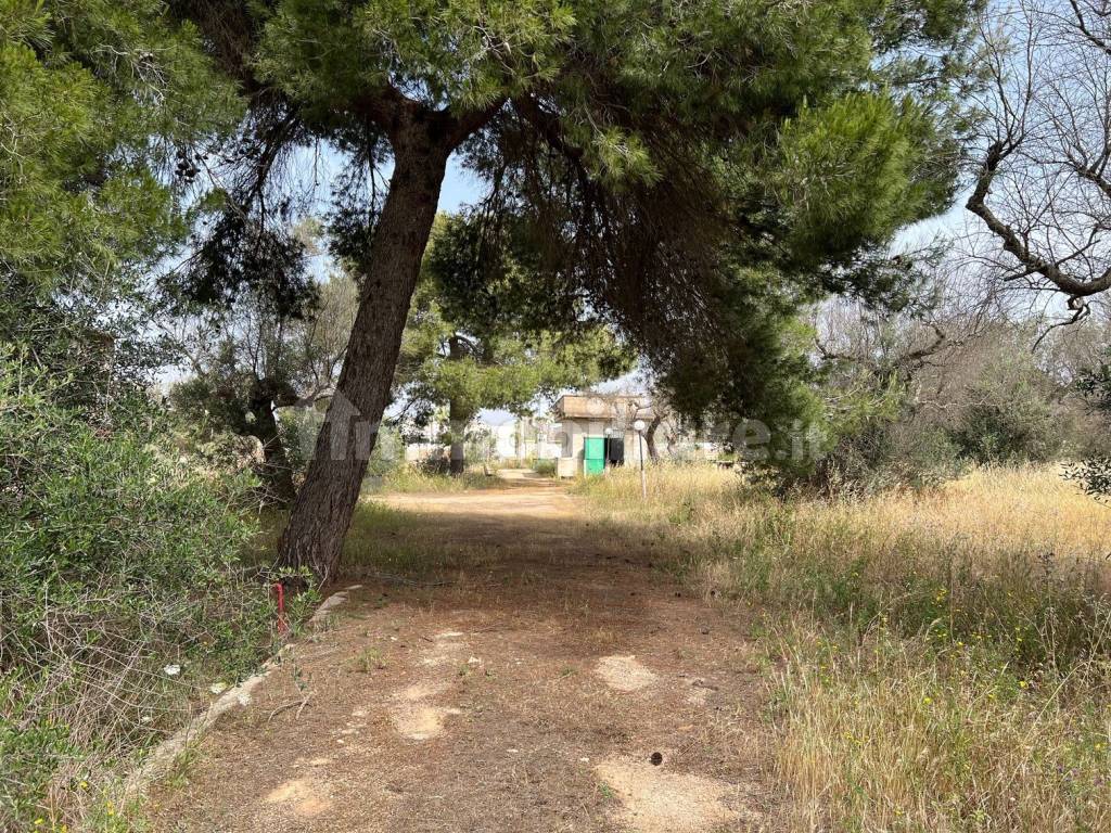 Terreno