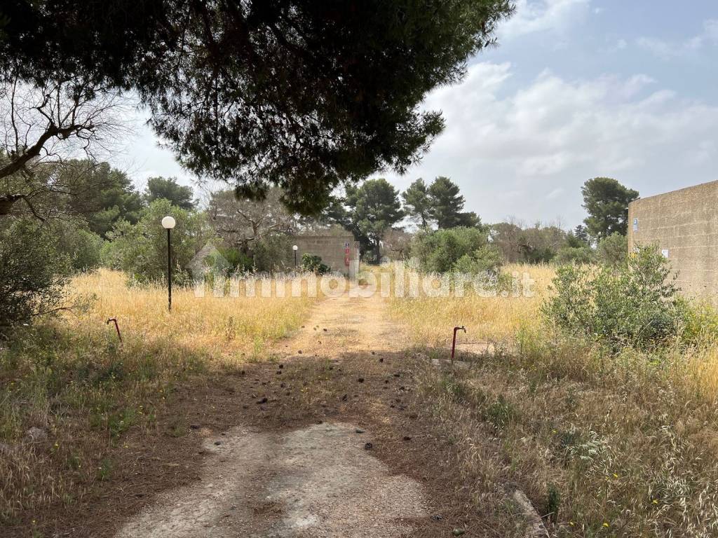 Terreno