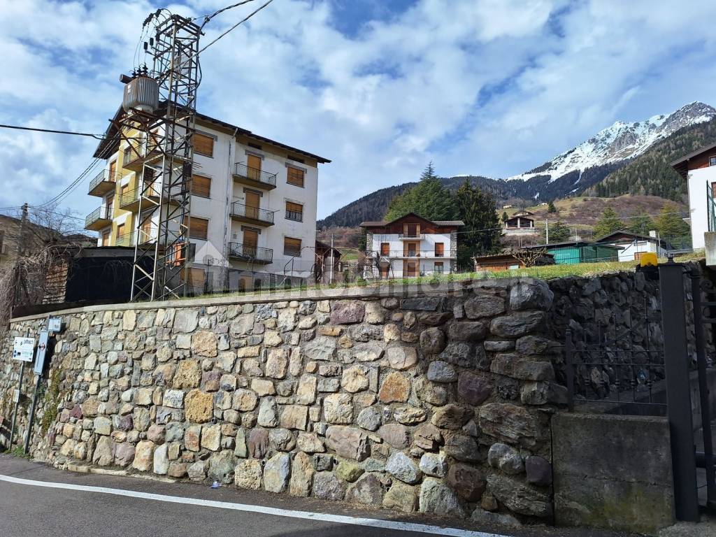 Zona