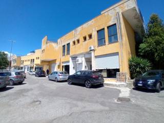 Zona