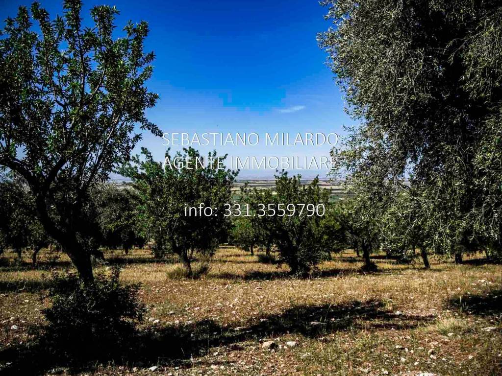 Terreno agricolo, san giovanni rotondo