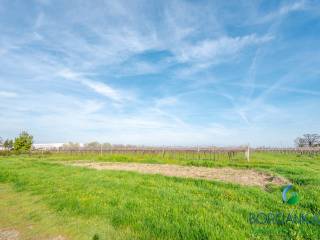 TERRENO AGRICOLO