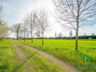 INGRESSO INDIPENDENTE TERRENO AGRICOLO