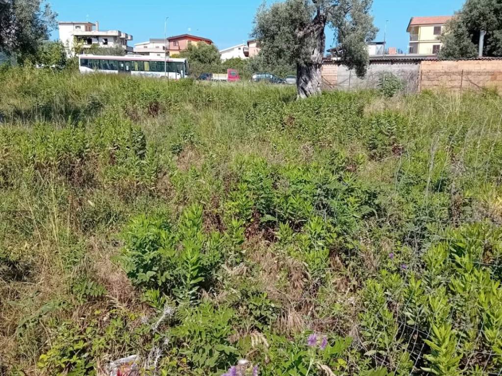 Terreno edificabile via mediterraneo 12, bianco