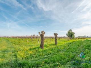 TERRENO AGRICOLO