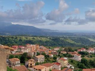 Vista