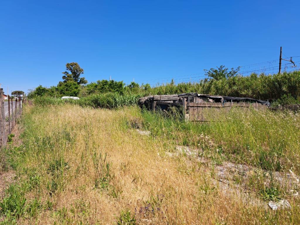 Terreno non edificabile, rinnovamento, roma