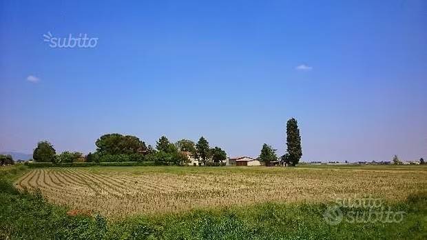 Terreno agricolo via fontane, boara pisani