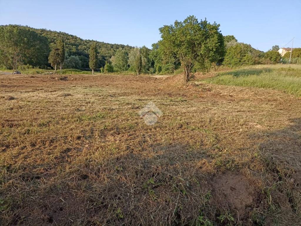 Terreno edificabile via valleregli, fauglia