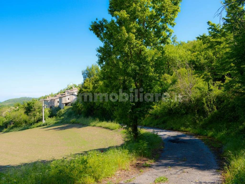 Vista
