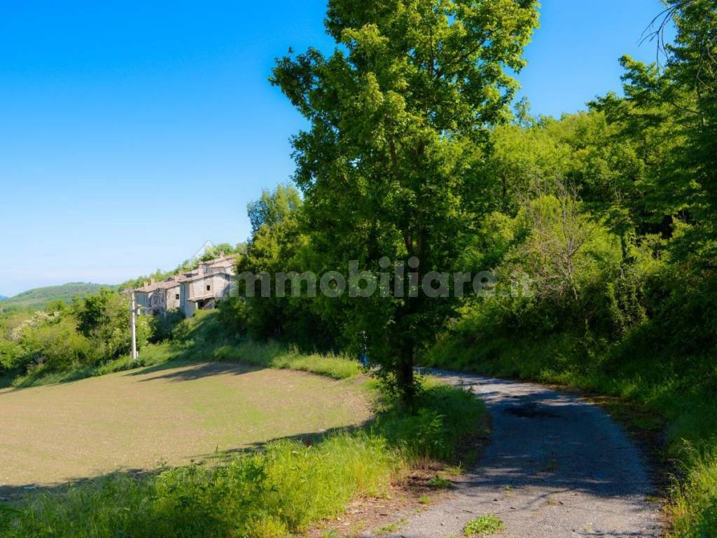 Vista