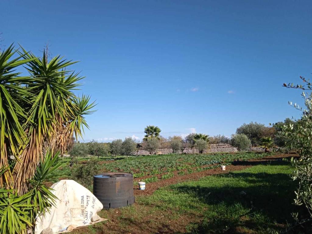 Terreno edificabile contrada monte la vecchia, polignano a mare