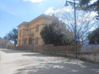 Zona