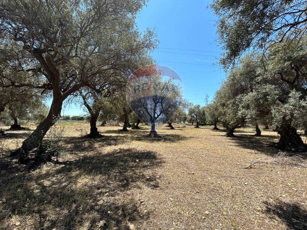 Terreno agricolo strada marina contrada tala' sn, priolo gargallo