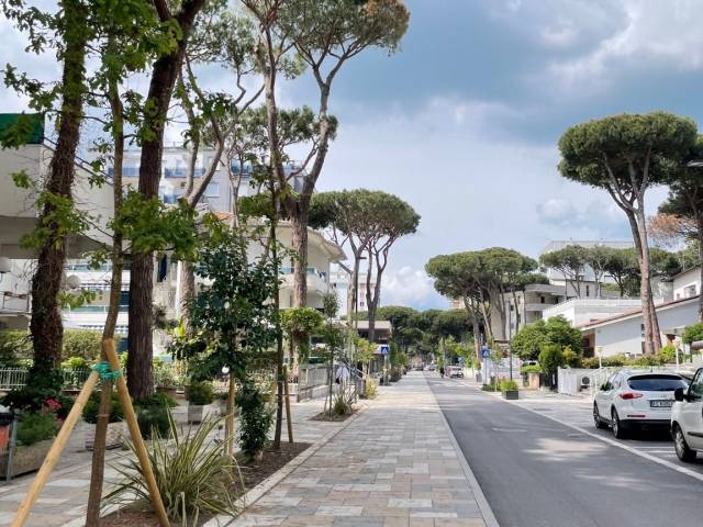 Viale carducci