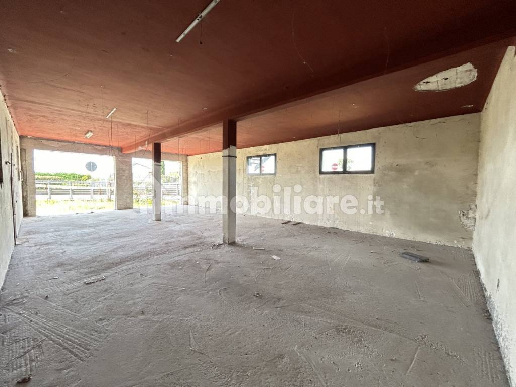 magazzino uffici grisignanodi zocco  13