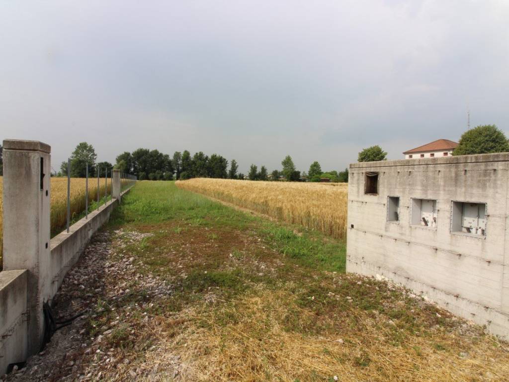 Terreno edificabile via pelosa, creola vecchia, saccolongo