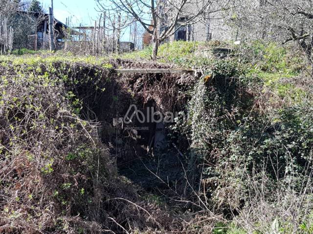 VE252_terreno agricolo in vendita