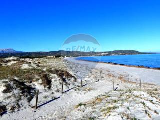 Foto - Vendita casa, giardino, Siniscola, Costa Nord Orientale