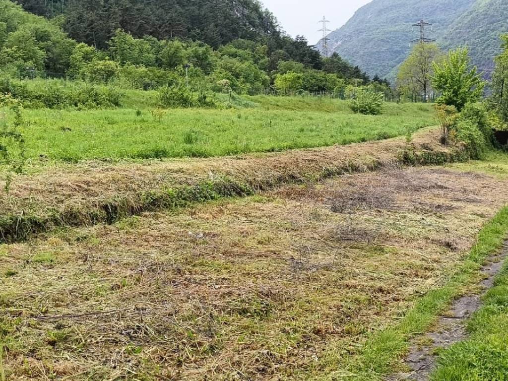 Terreno agricolo, mori