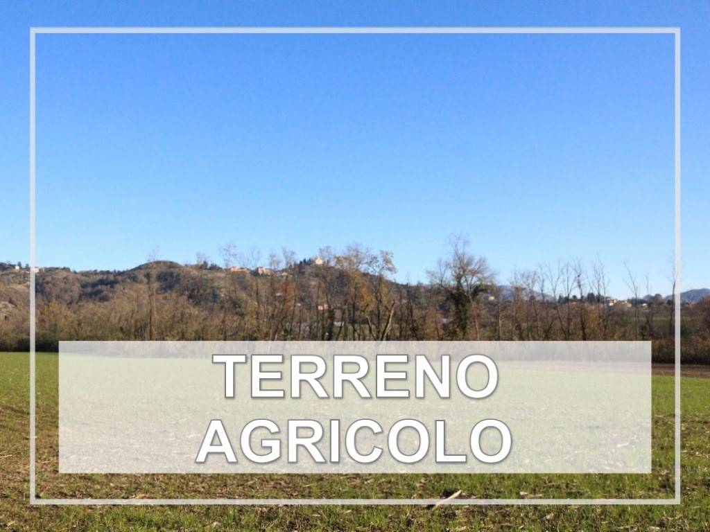 Terreno agricolo cascina brughiera, missaglia