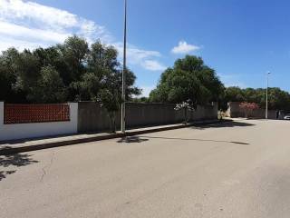 Zona