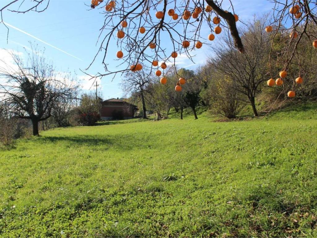 Terreno non edificabile via alserio san c., erba