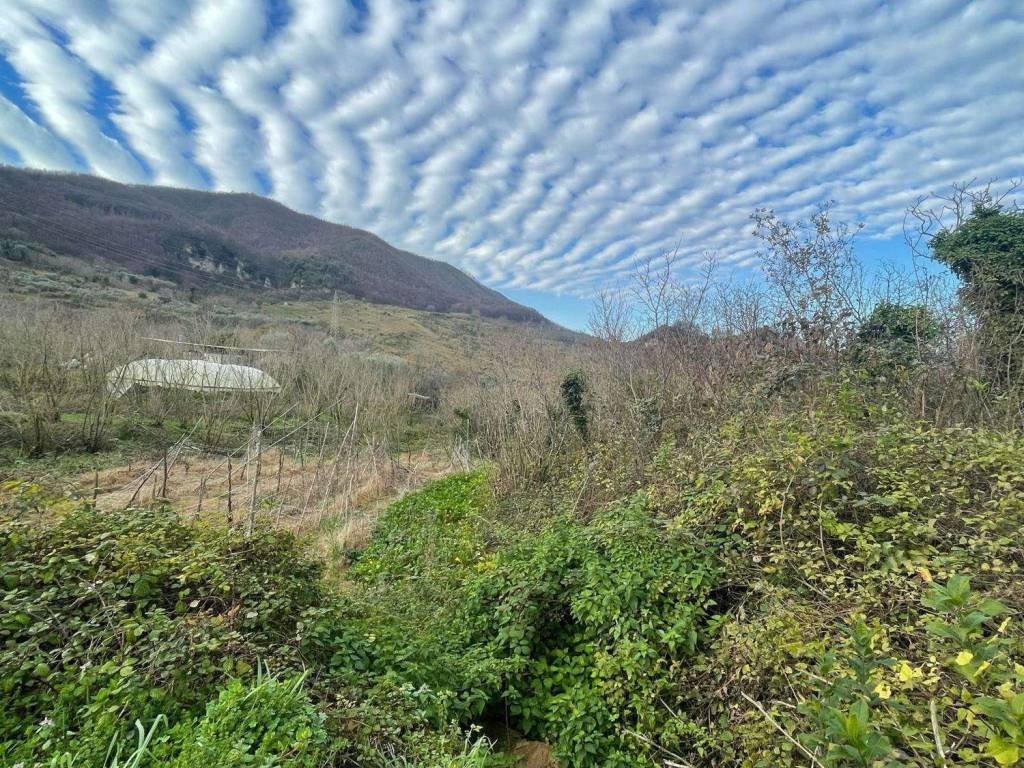 Terreno non edificabile, montecorvino rovella