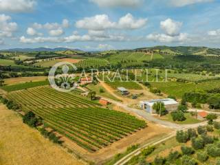 Maremma Toscana Azienda Vitivinicola con villa