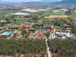 Zona