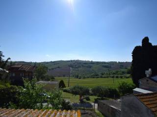 Vista