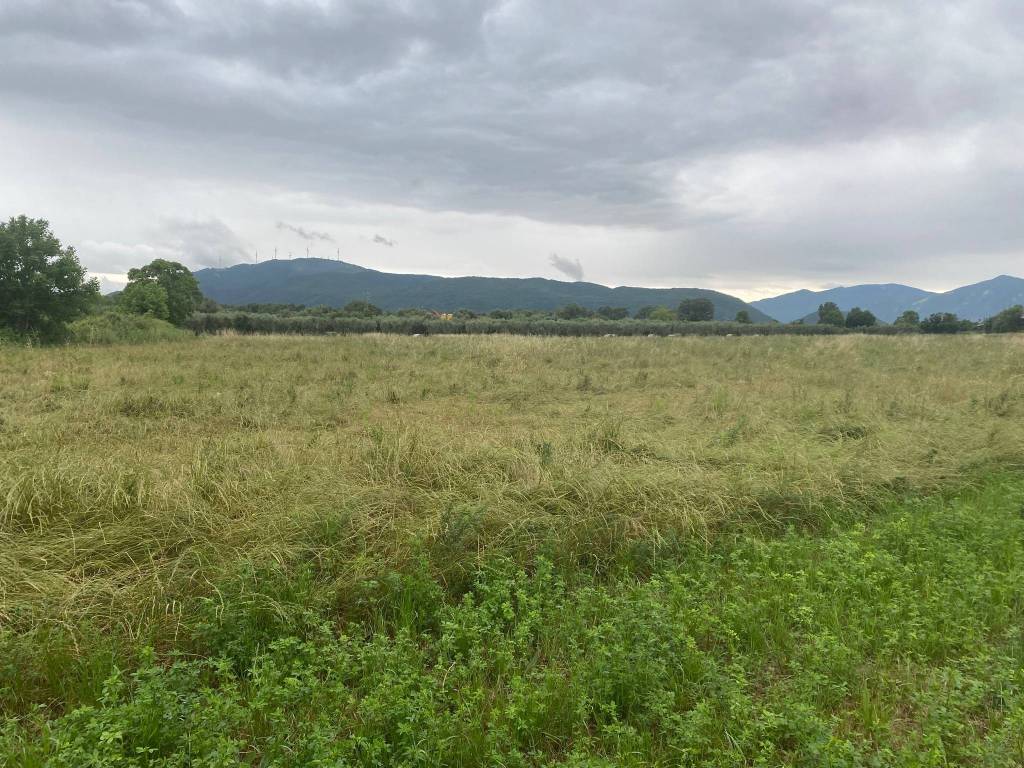 Terreno agricolo viadotto pozzilli, pozzilli