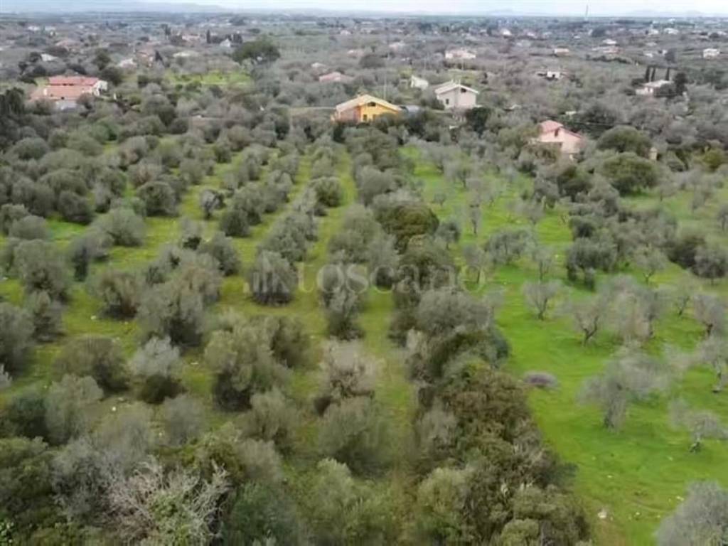 Terreno edificabile strada vicinale montalè, li punti - viziliu, sassari