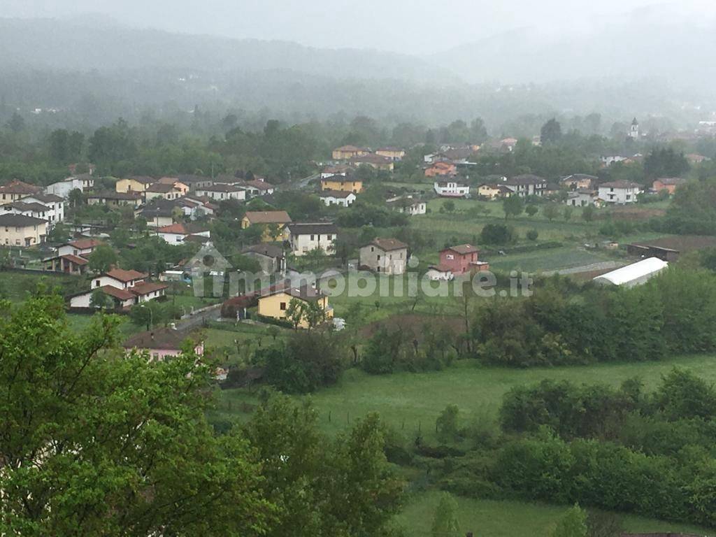 Vista
