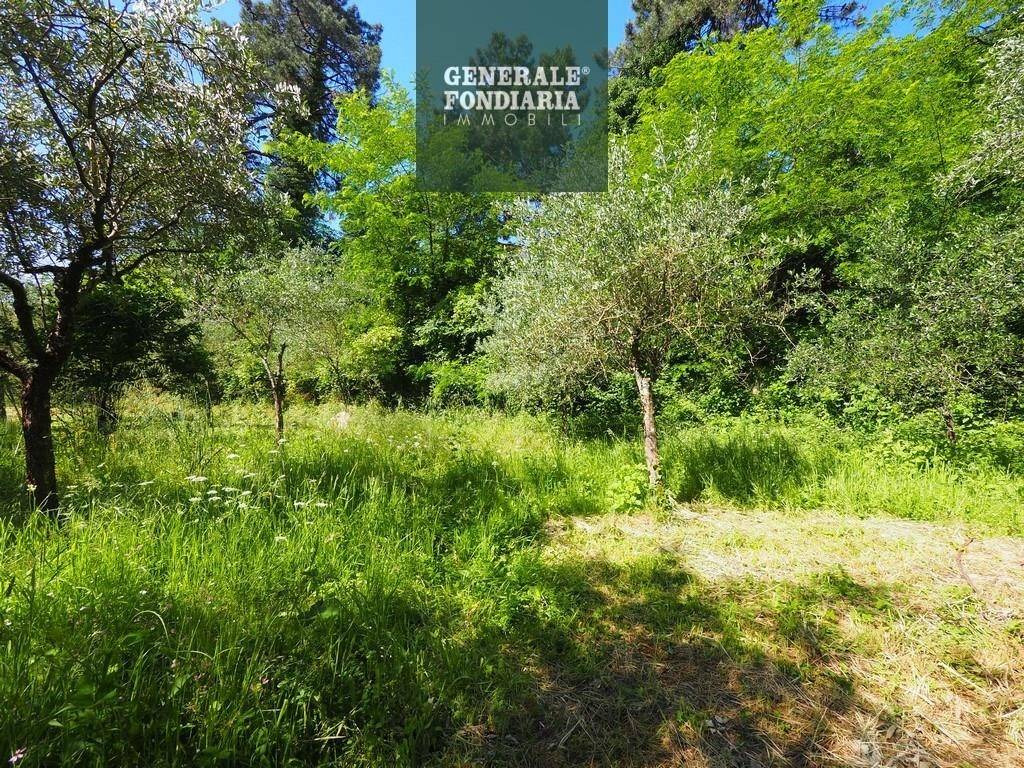 Terreno agricolo via genova 122, ceparana carpena, bolano