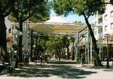 Zona