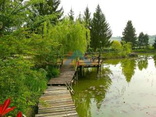 Vista Lago