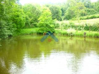 Vista Lago