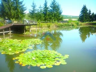 Vista Lago